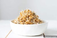 The Art of Sprouting Oats: Crafting Your Own Sprouted Oat Cereal