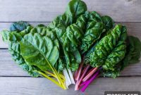 MTHFR Explained: A Beginner’s Guide to Diet, Lifestyle, and Supplements