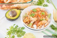 Effortless Instant Pot Two Ingredient Salsa Chicken