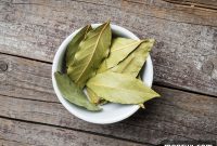 5 Easy Bay Leaf Substitutes for Flavorful Cooking