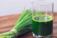 Choosing Your Perfect Wheatgrass Juicer