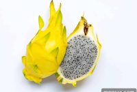 Discover the Golden Goodness of Yellow Dragon Fruit
