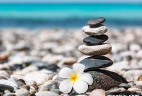 Achieving Hormonal Harmony Supplements for Him and Her