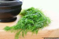 7 Clever Alternatives to Fresh Dill and Their Ideal Quantities