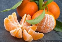 15 T-Fruits Nutritionist Approved