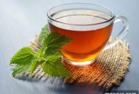 Fresh Mint Tea: Brew It Hot, Chill It Iced