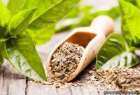 7 Clever Swaps for Dried Basil in Your Dishes