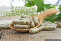 Navigating Dairy-Free Probiotic Options