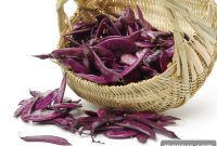 A Pictorial Guide to Over 20 H-Starting Vegetables