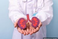 Power Your Kidneys: 12+ Essential Vitamins and Herbs