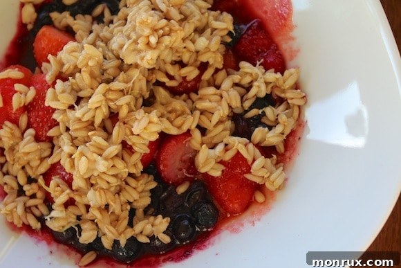 Bowl of sprouted oat groat cereal with berries