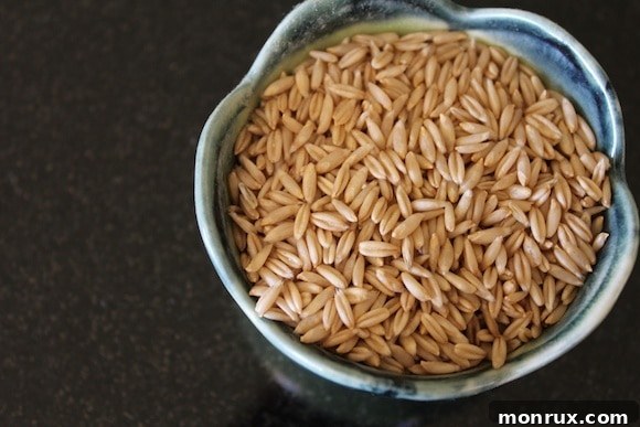 A close-up view of raw, unsprouted oat groats, showcasing their intact, whole kernels before the soaking and sprouting process begins.