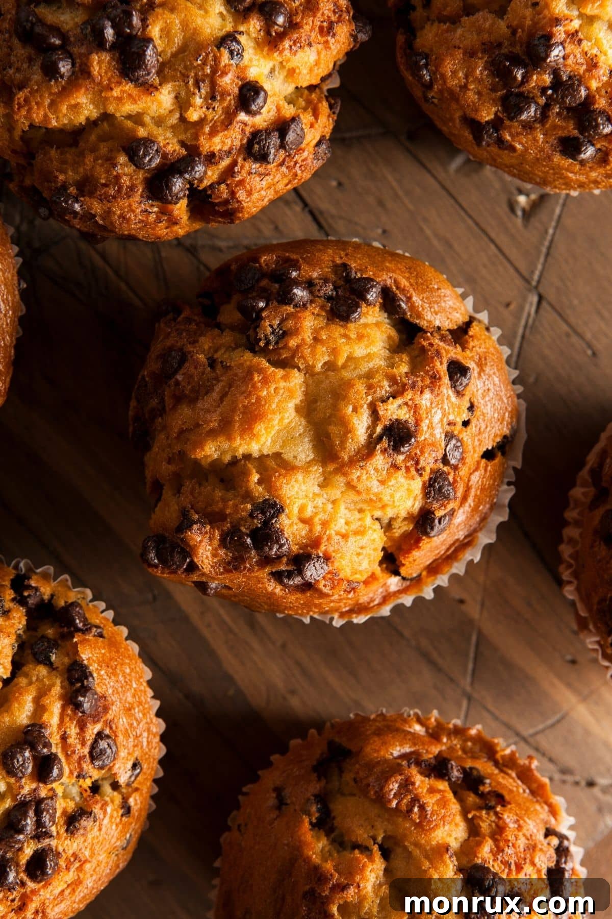 An inviting overhead shot of warm chocolate chip muffins, perfectly baked and ready to be enjoyed.