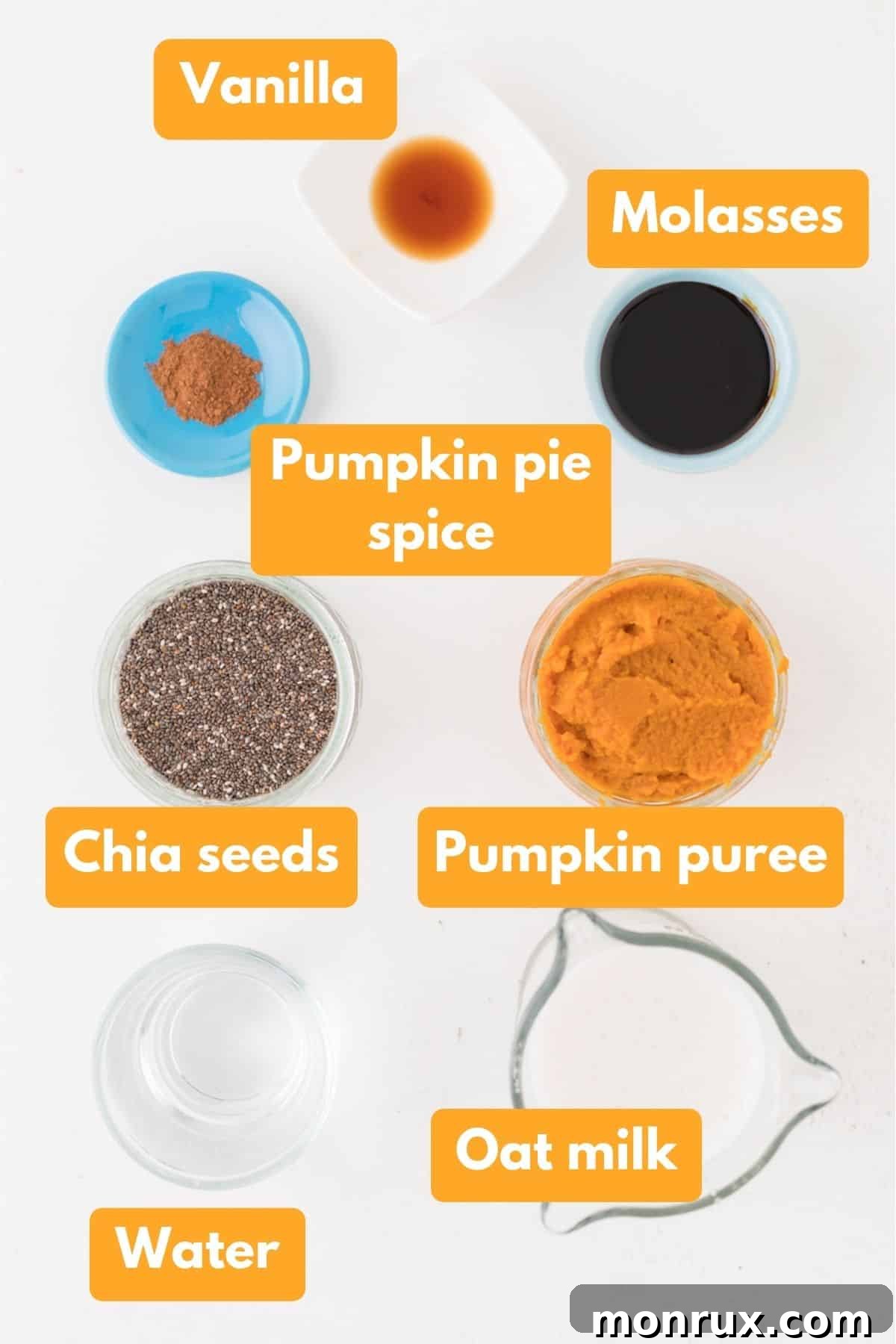A vibrant selection of fresh ingredients including plant-based milk, canned pumpkin puree, chia seeds, vanilla extract, molasses, and pumpkin pie spice, artfully arranged on a clean surface, ready for preparation.