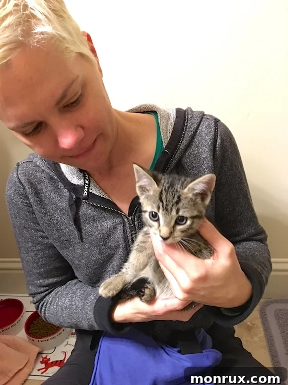 A loving mother cat with her adorable kitten, symbolizing new life and family bonds.