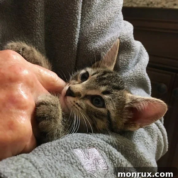 A tender moment between Dad (Alan) and Dash, highlighting their growing connection.