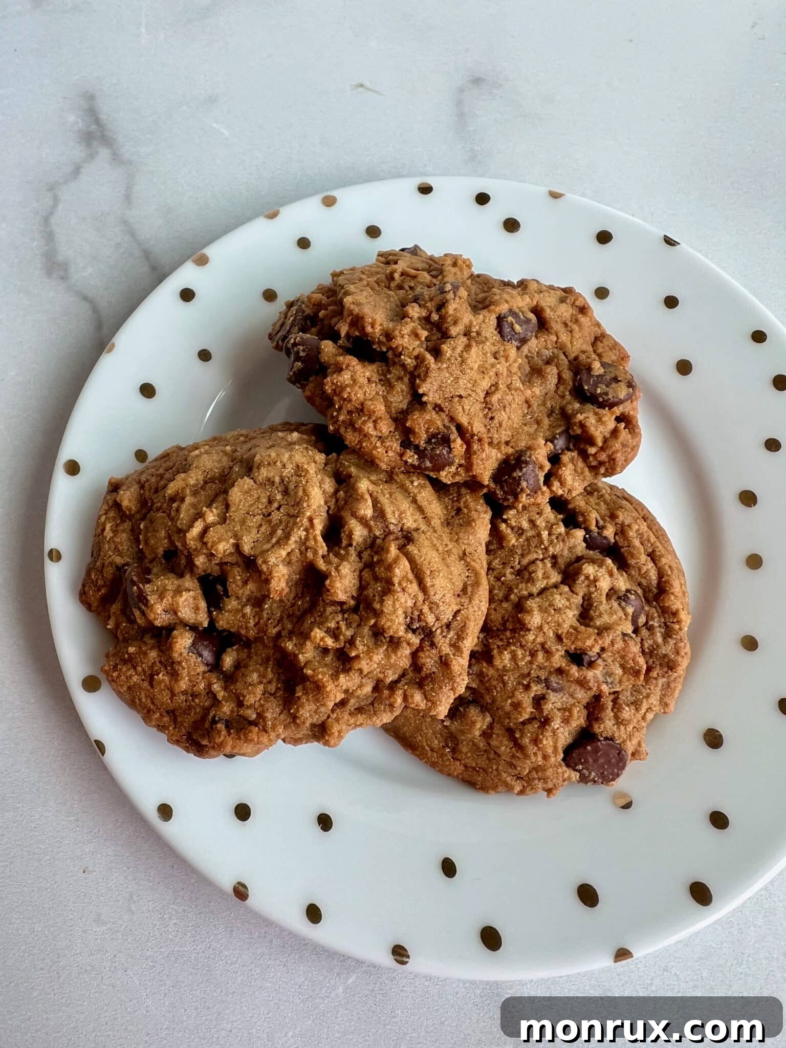 Grain-free chocolate chip cookies served on a plate, showcasing their perfect texture and golden-brown edges.