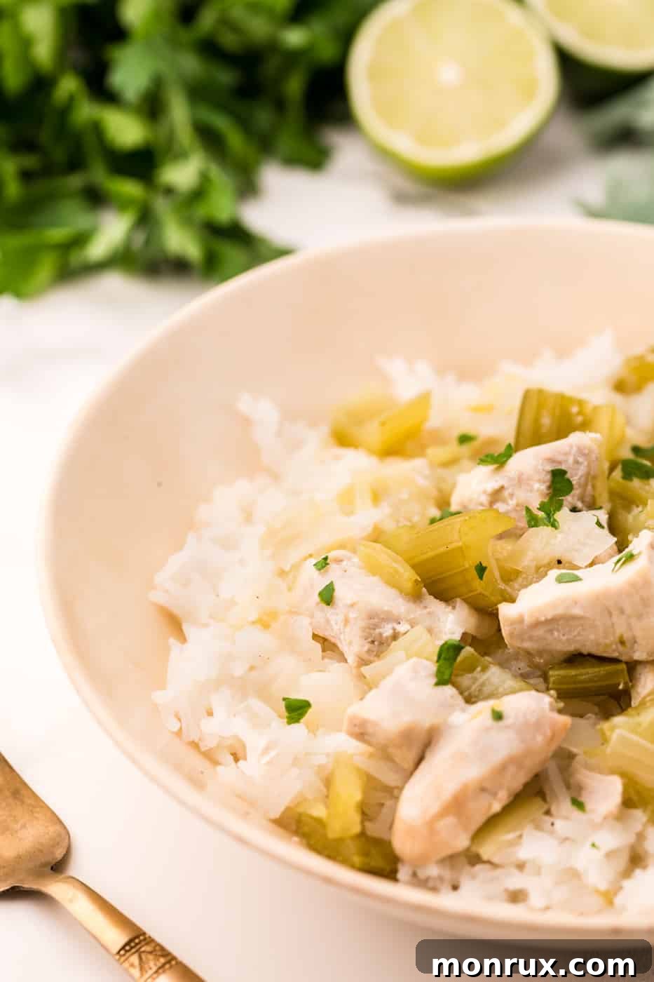 A bowl of Instant Pot coconut chicken served with fluffy white rice, garnished with fresh herbs and a lime wedge.