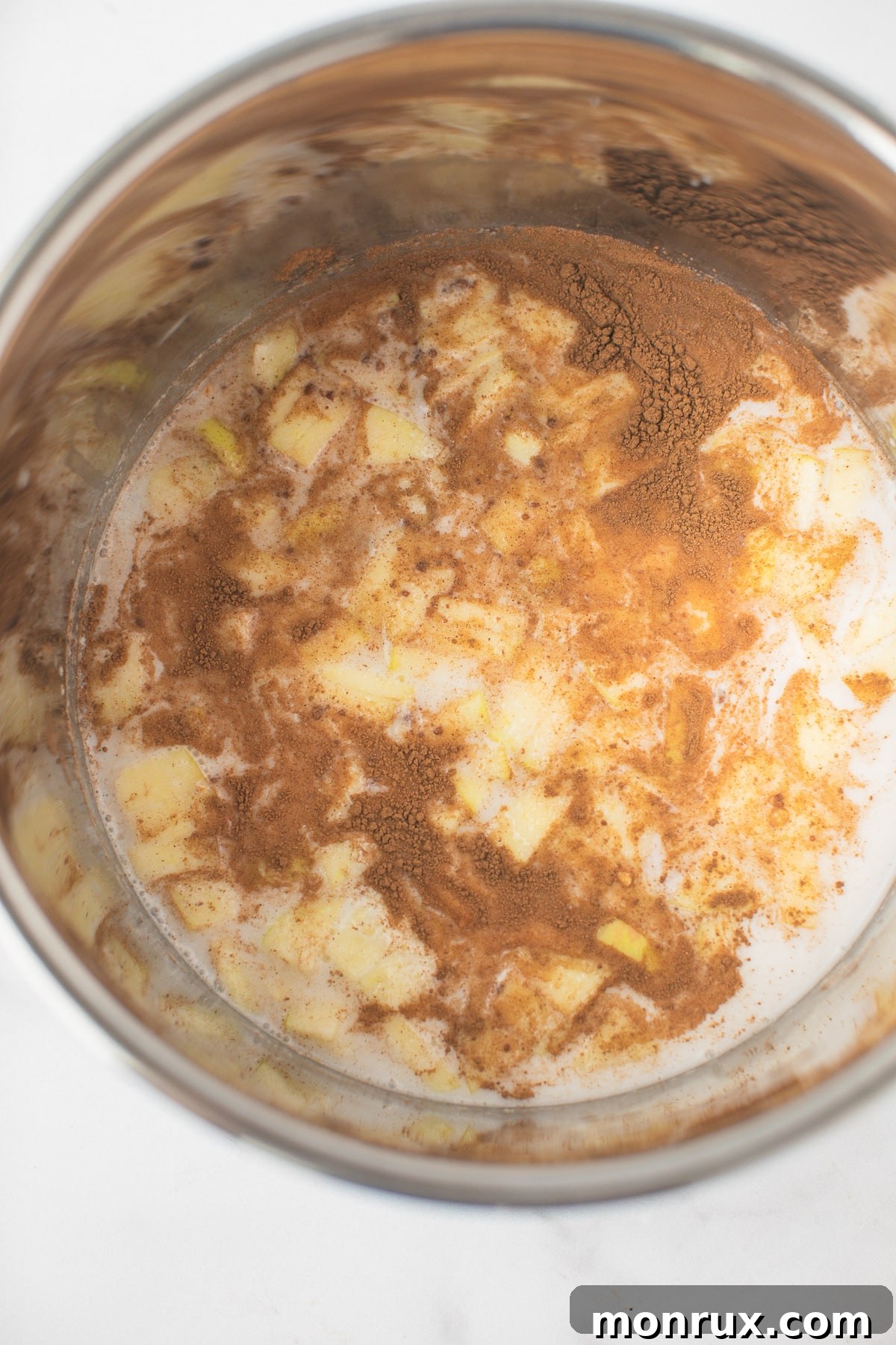 Raw ingredients, including steel cut oats, dairy-free milk, apple, cinnamon, raisins, and maple syrup, placed in the Instant Pot before cooking.