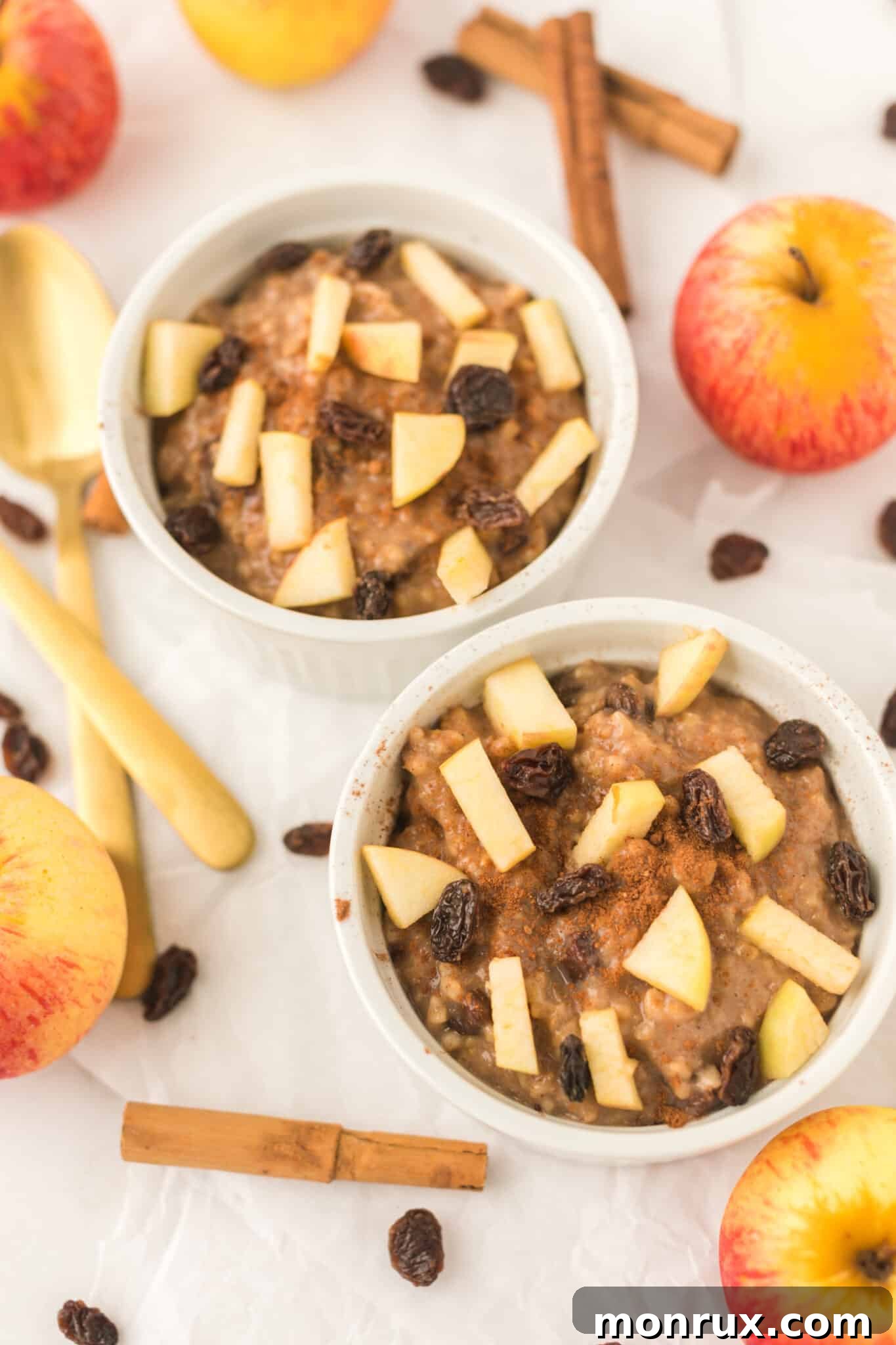 Two bowls of Instant Pot Steel Cut Oats, garnished with fresh apple slices, plump raisins, and a sprinkle of cinnamon, ready to be enjoyed.