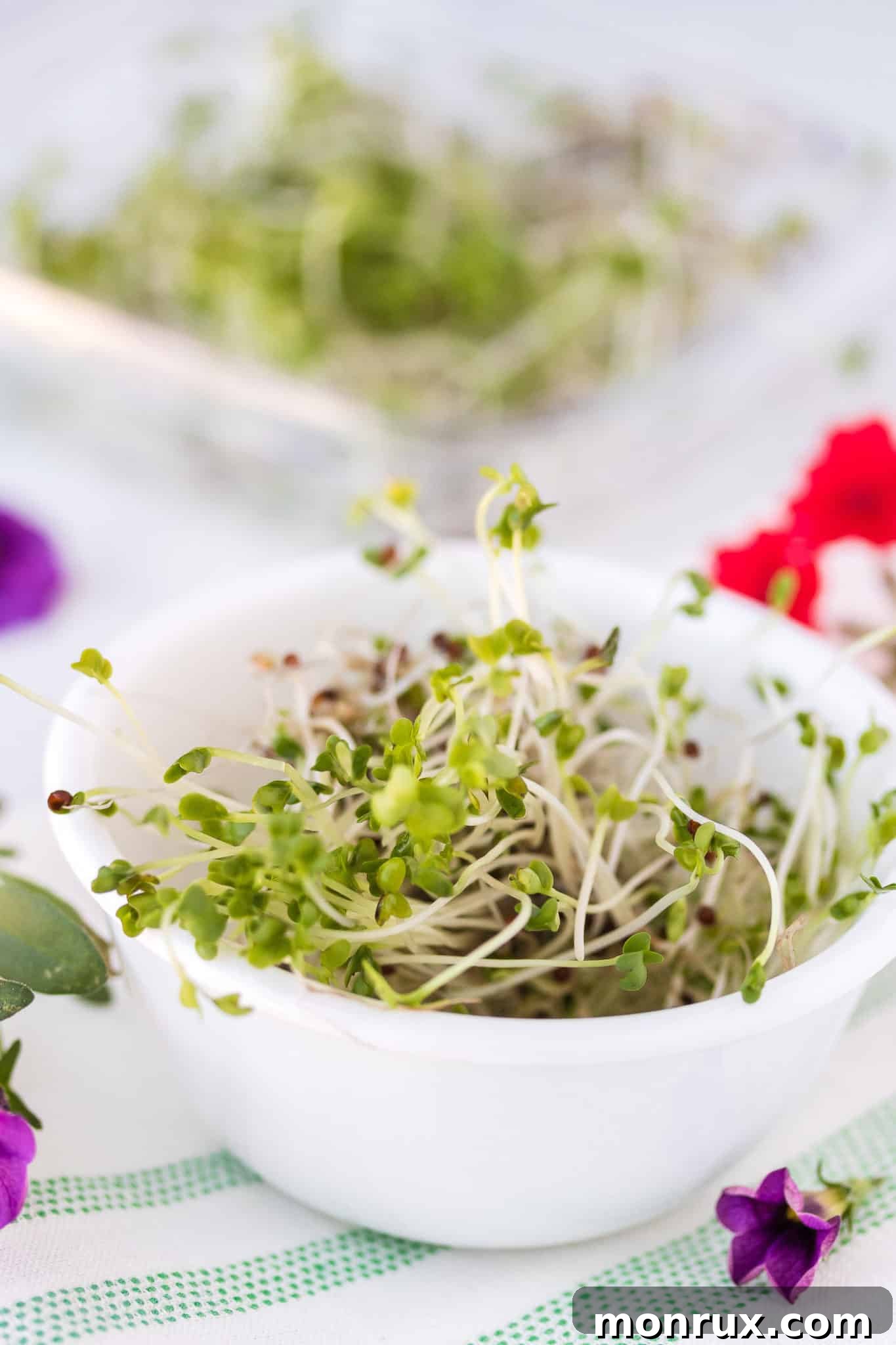 A bowl filled with fresh, vibrant broccoli sprouts, ready to be eaten and enjoyed as a healthy addition to any meal.