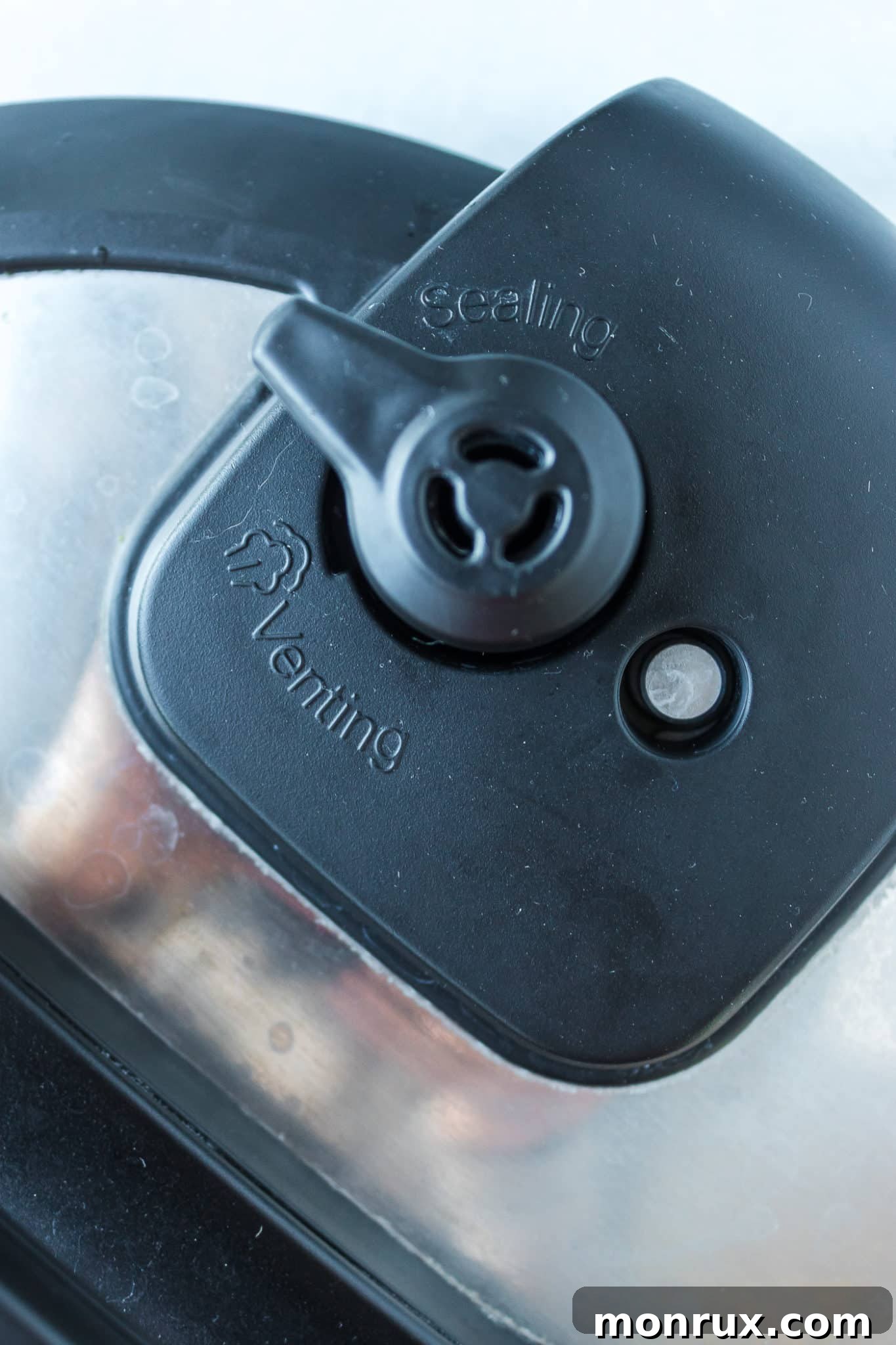 Close-up of the Instant Pot Duo lid showing the sealing valve and steam release handle.