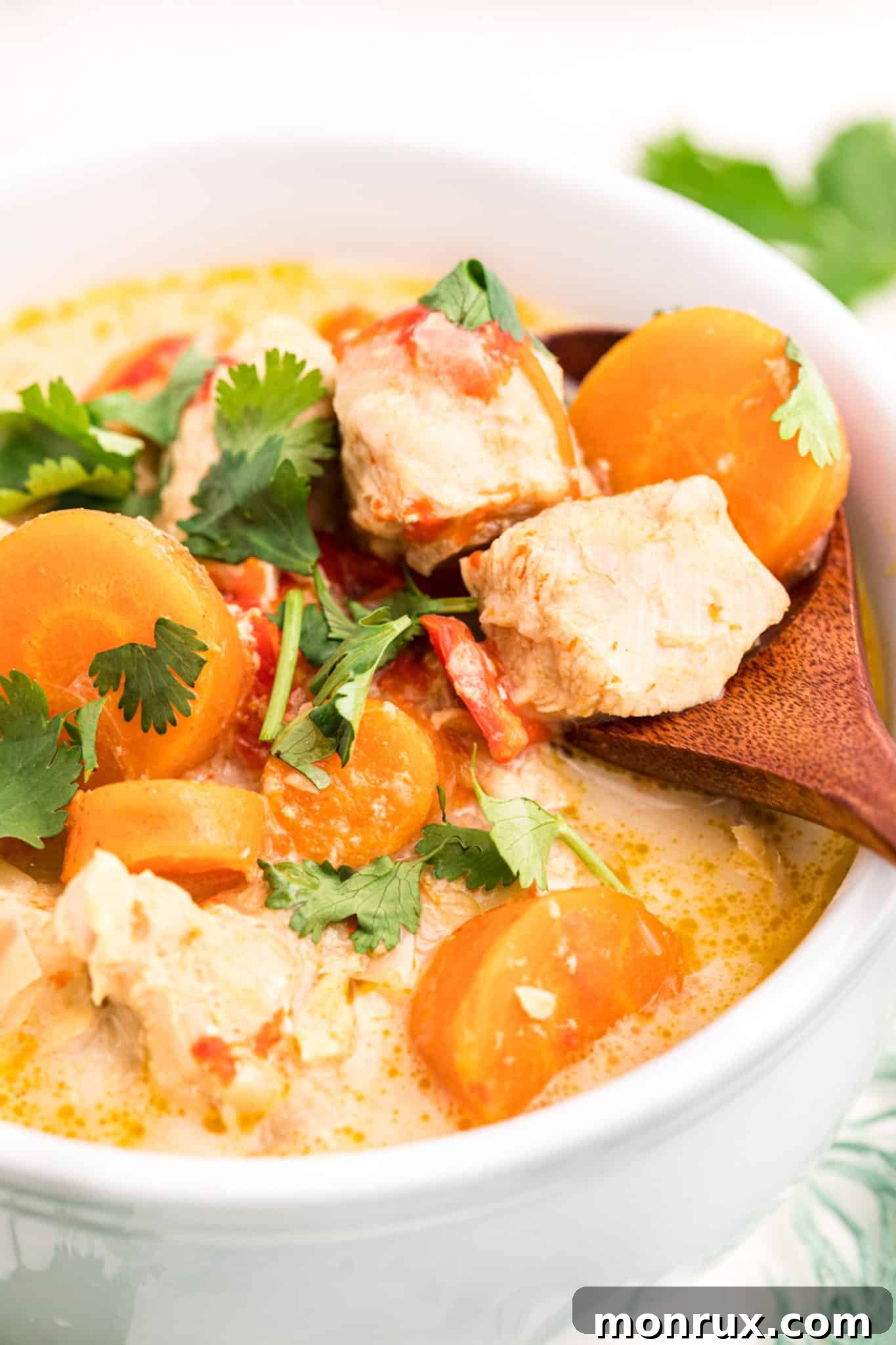 Close-up photo of a bowl of creamy Thai Green Curry Soup, showcasing tender chicken chunks, vibrant vegetables, and fresh herbs.