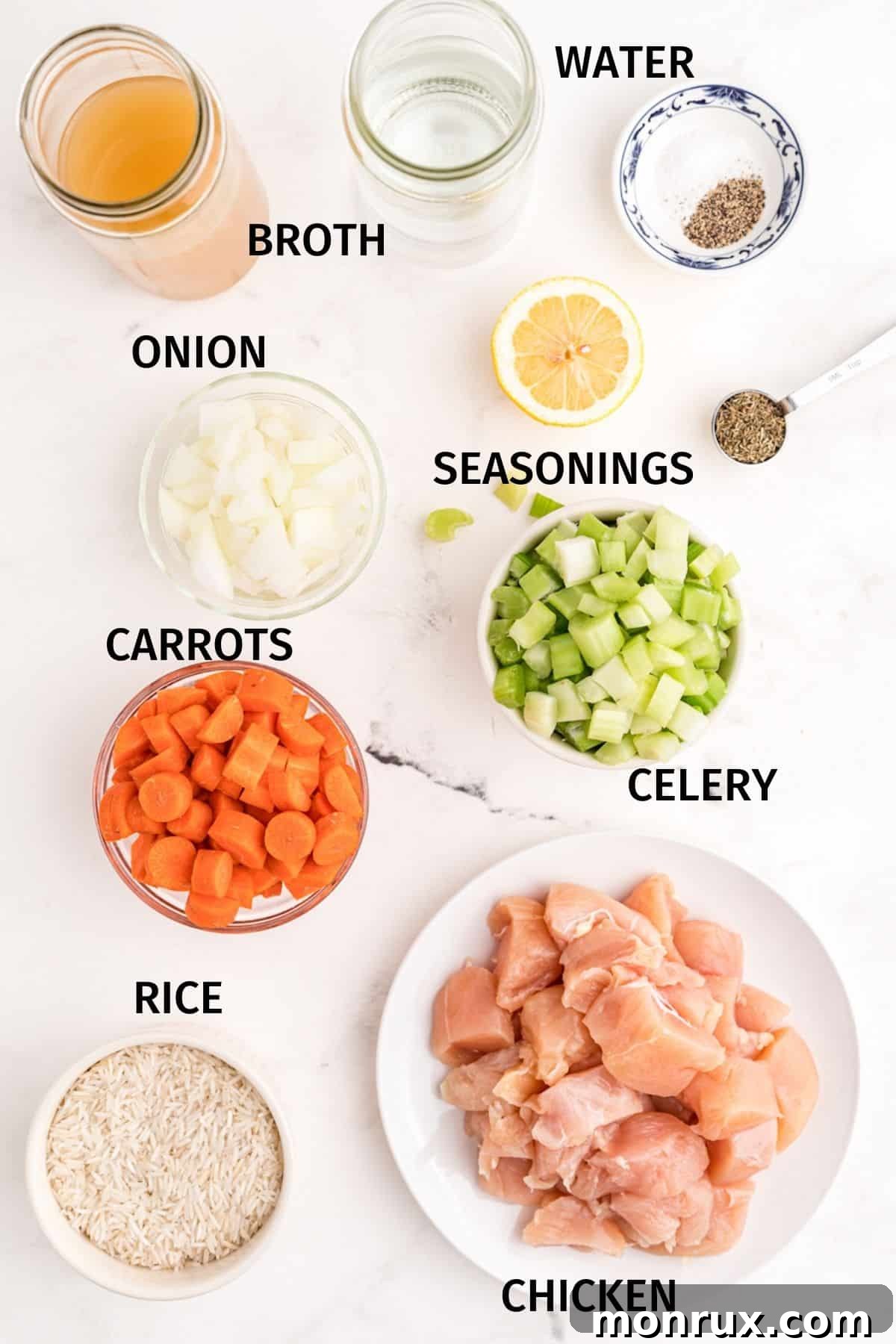 Photo showing labeled ingredients for Instant Pot Chicken Rice Soup, including chicken, carrots, celery, onion, rice, and broth.