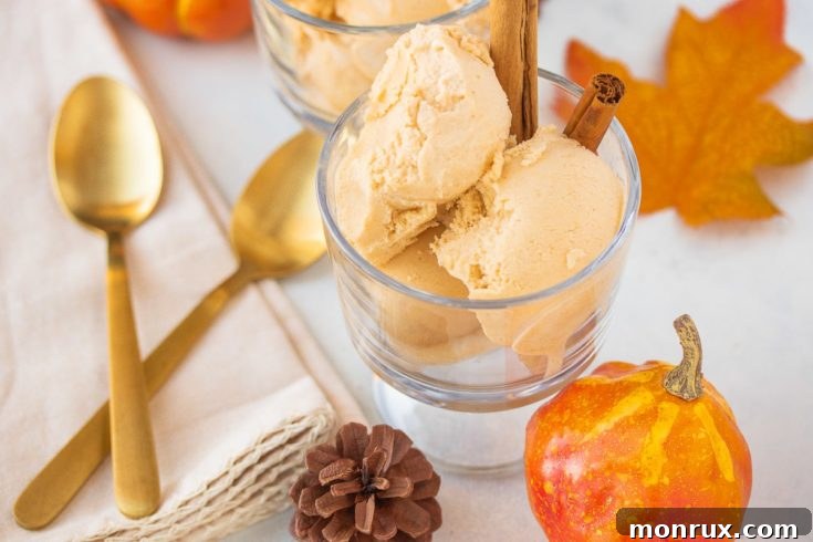 Vegan Pumpkin Ice Cream