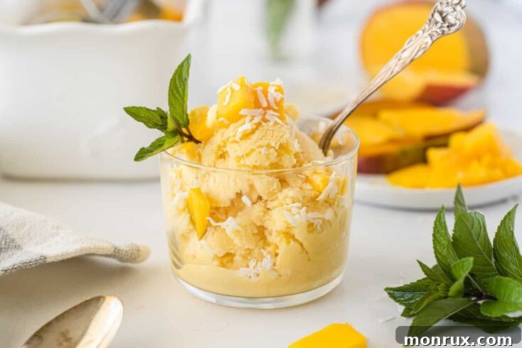 Vegan Mango Ice Cream hero shot