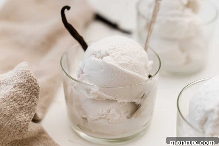 Vitamix Ice Cream with vanilla bean hero