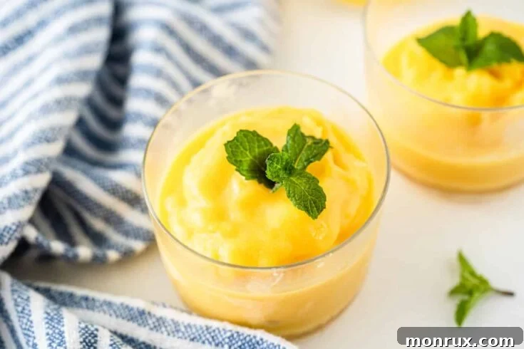 Mango Sorbet hero
