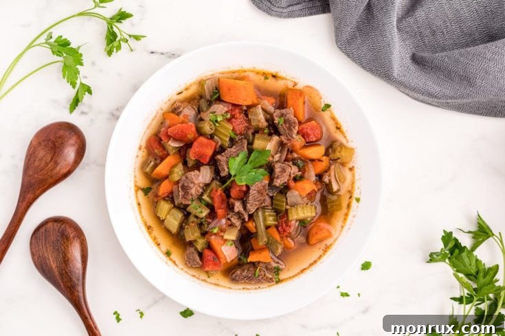 Instant Pot Vegetable Beef Soup