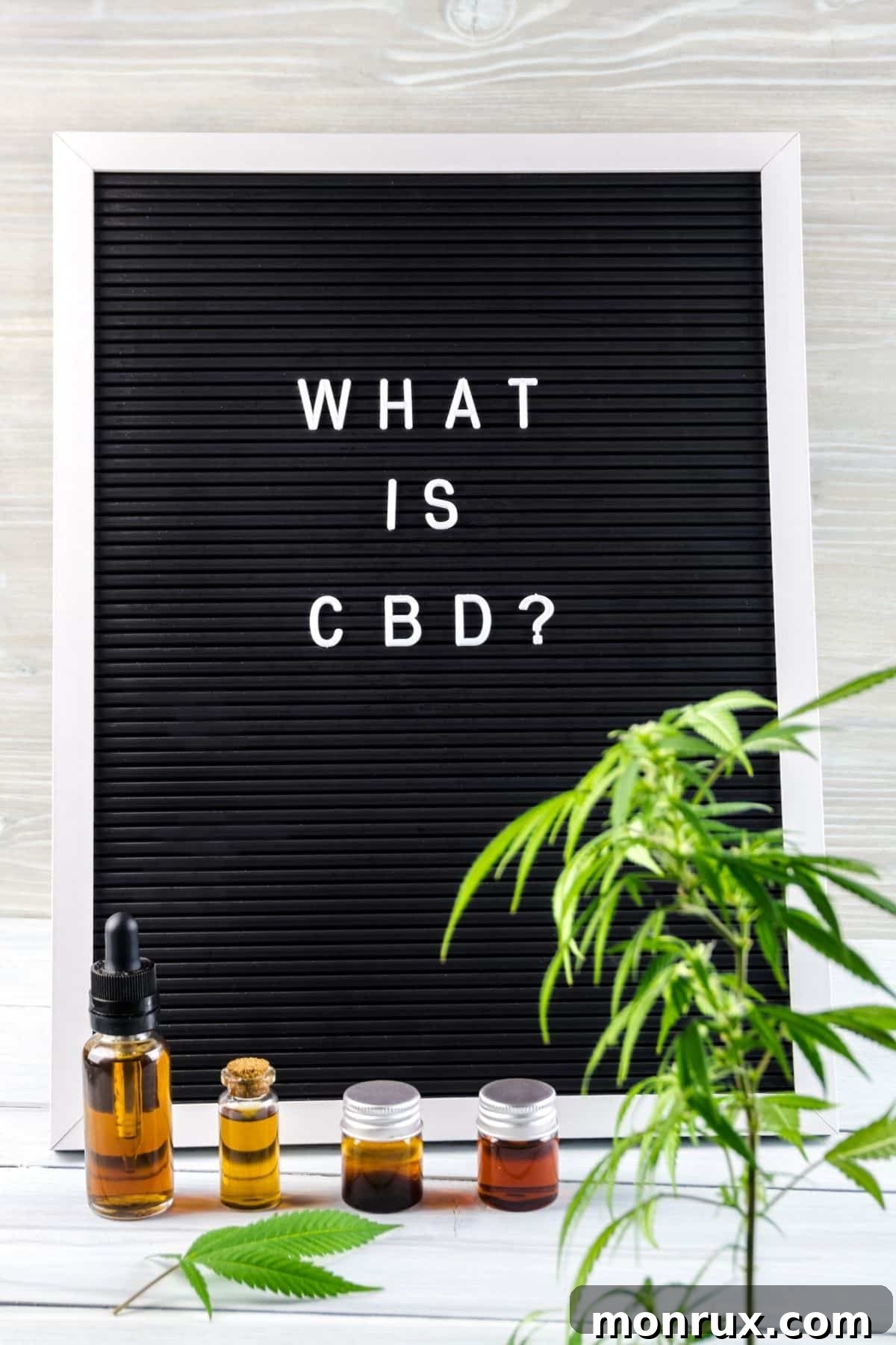 What is CBD? Sign with hemp plants in the background.