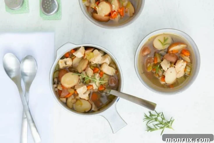 Instant Pot Chicken Soup with Potatoes, a comforting and hearty meal.