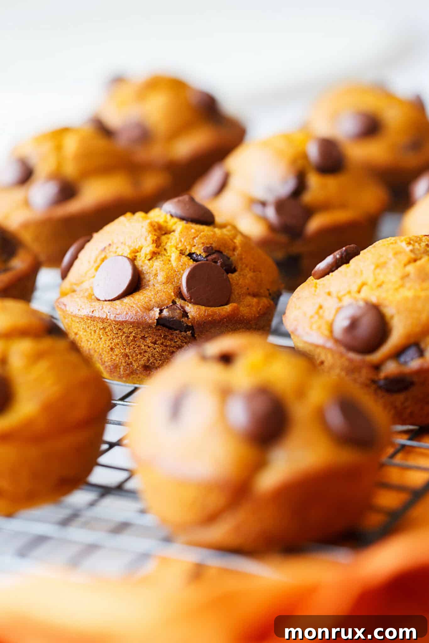Freshly baked gluten-free pumpkin chocolate chip muffins cooling on a wire rack, with a scattering of chocolate chips and cinnamon sticks around them.