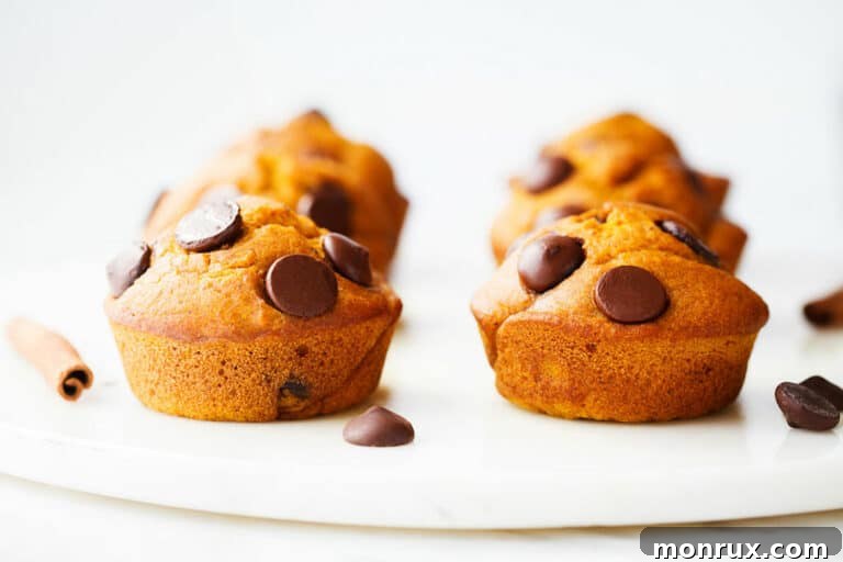 A batch of gluten-free pumpkin muffins with chocolate chips displayed on a rustic wooden table.