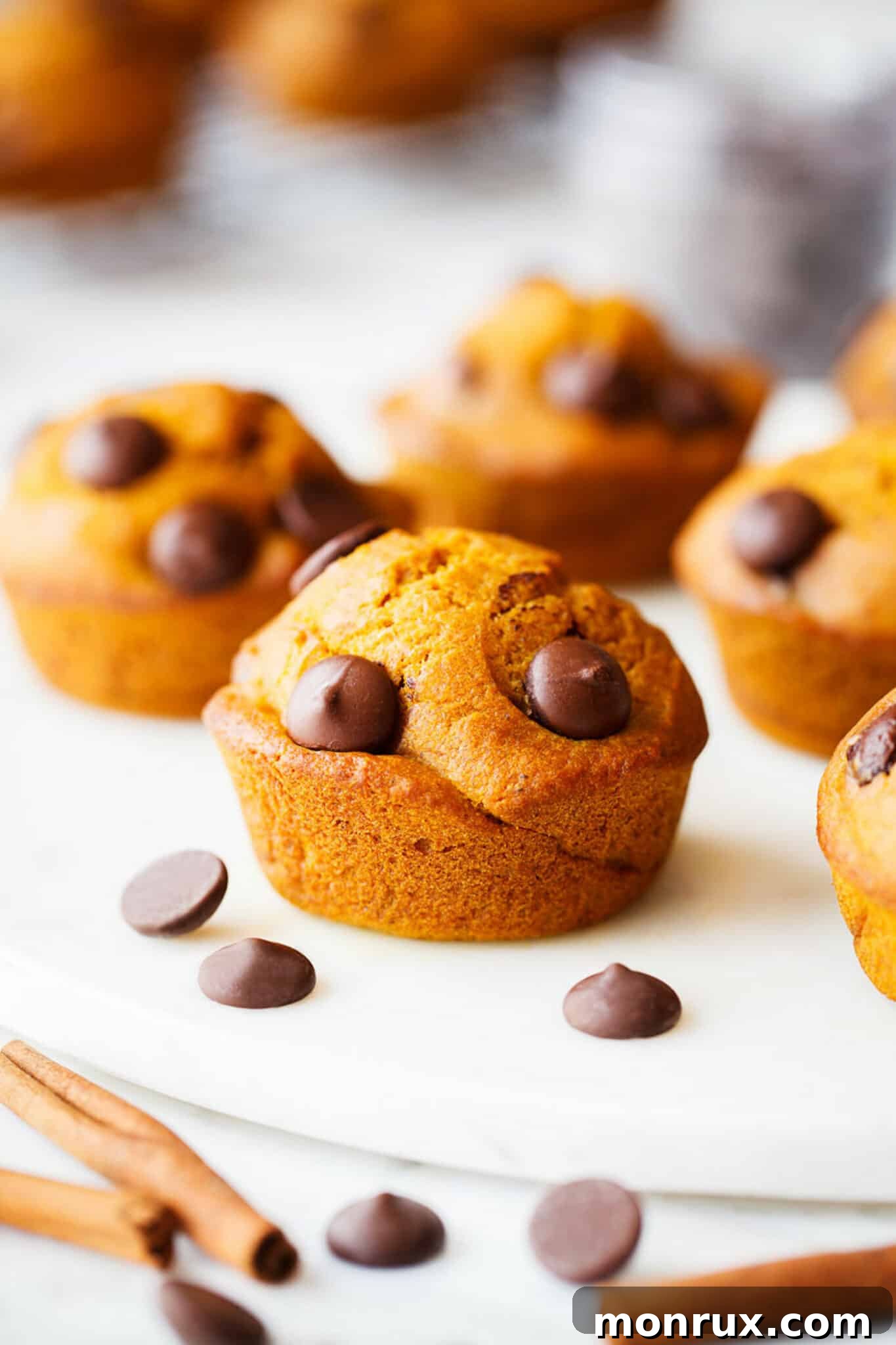 A charming arrangement of gluten-free pumpkin muffins, artfully surrounded by cinnamon sticks and scattered chocolate chips, embodying the spirit of fall.