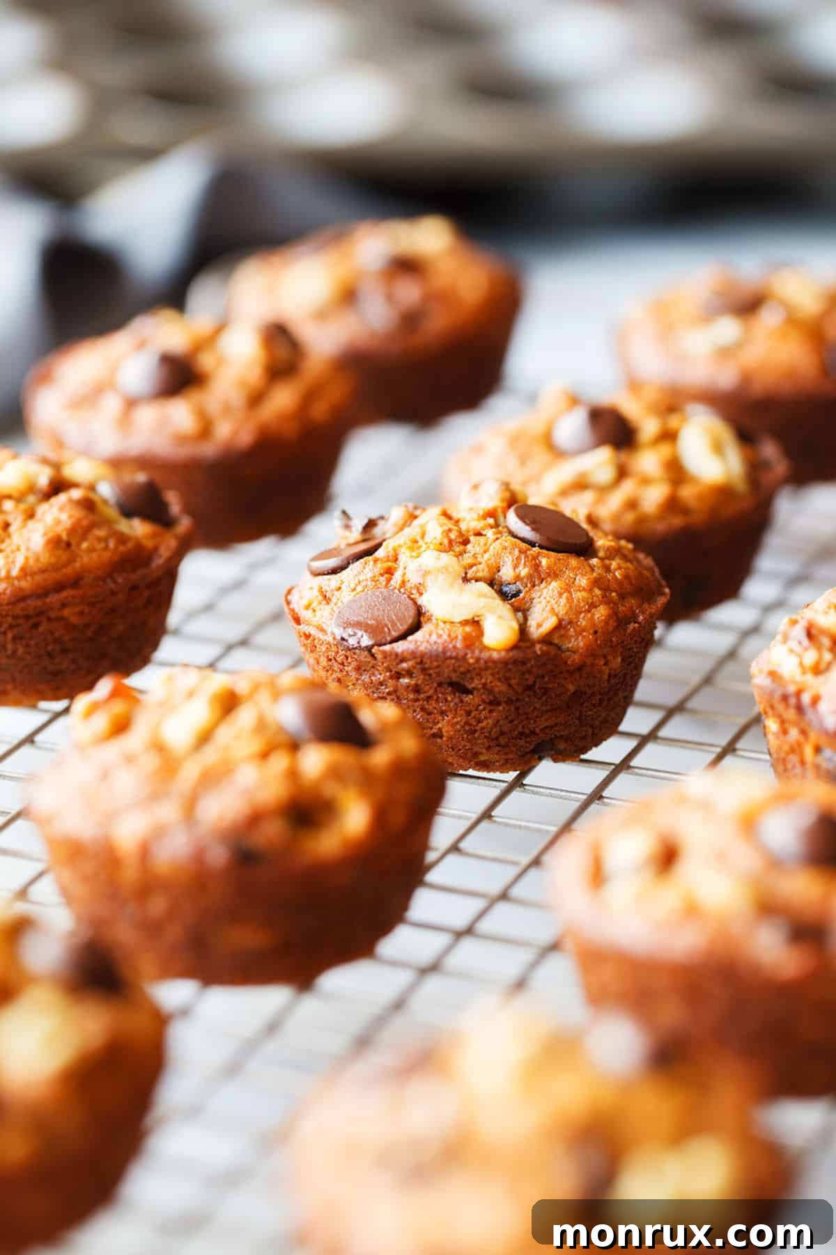 sweet potato chocolate chip muffins on a cooling rack.