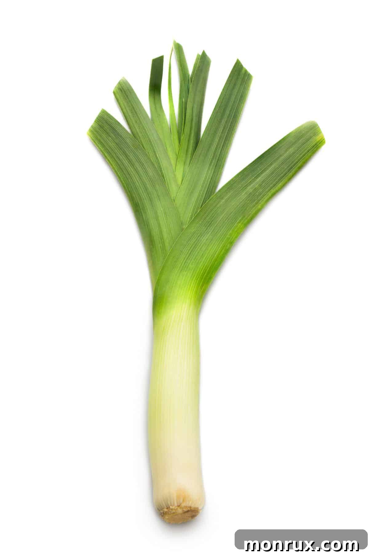 A single fresh leek stalk with its white base and green leaves on a wooden table.