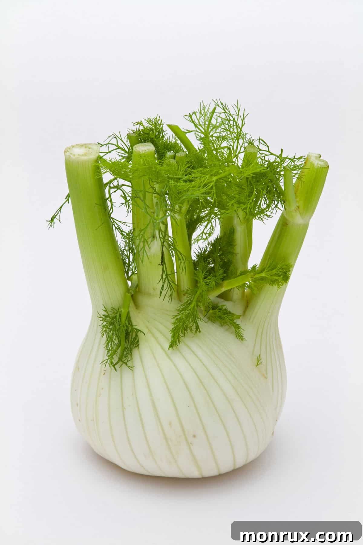 A bulb of fresh fennel with its feathery green fronds on a wooden table, highlighting its distinctive texture.
