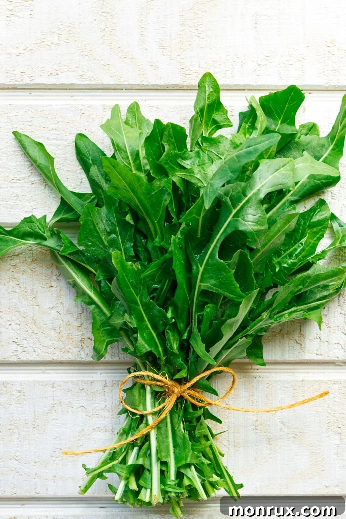 A fresh bunch of dandelion greens, showcasing their jagged edges and deep green color.