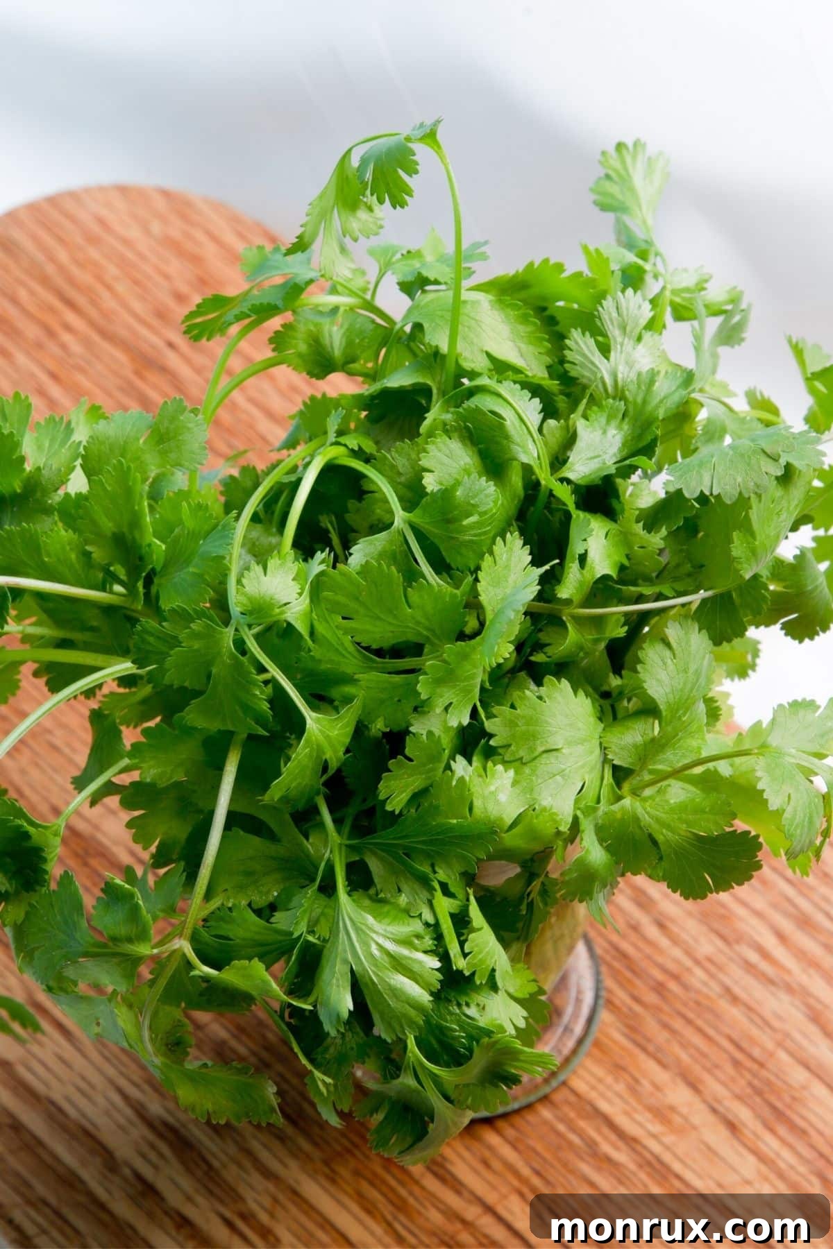 A vibrant bunch of fresh cilantro leaves on a rustic wooden table, ready for cooking.