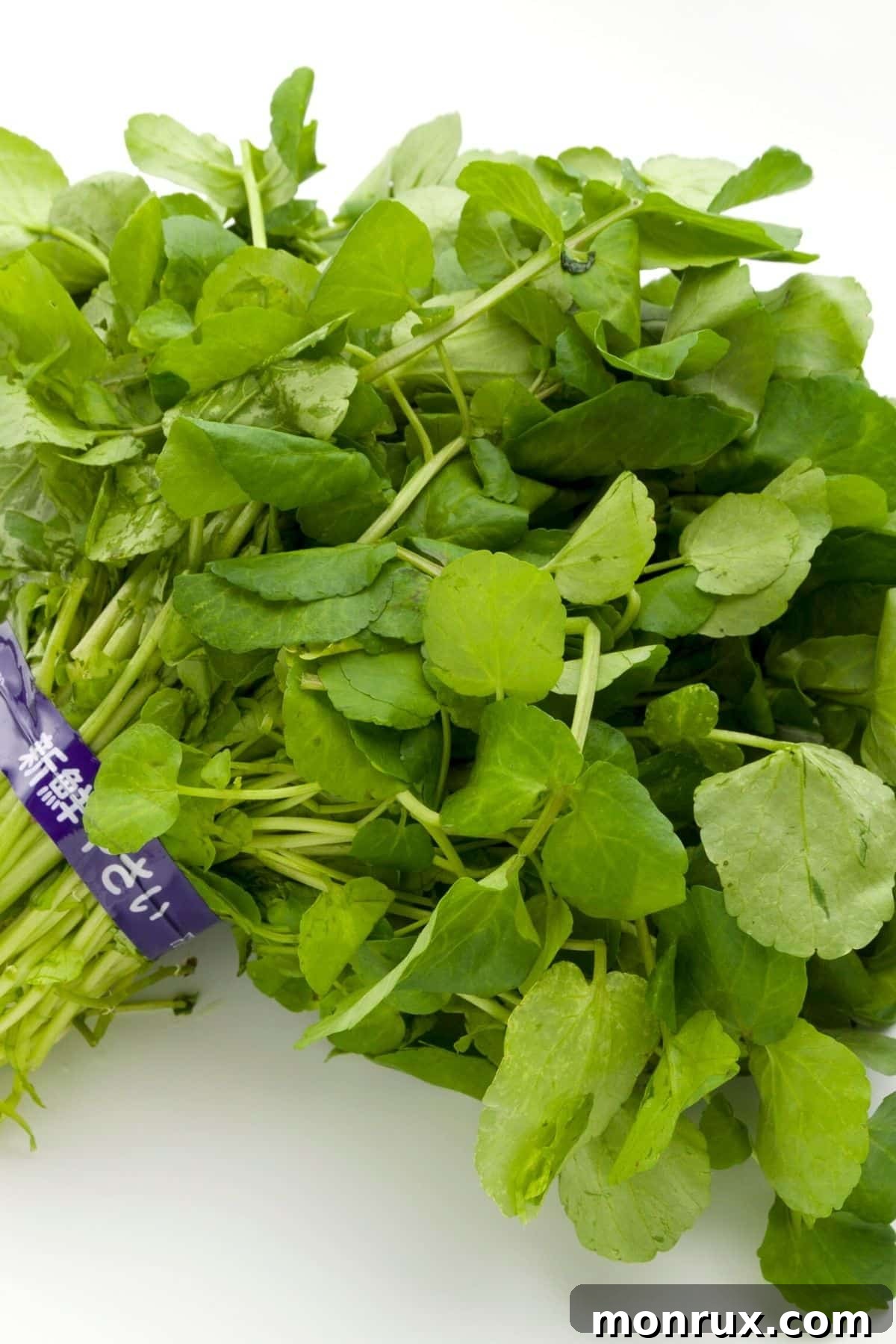Fresh watercress sprigs arranged neatly on a pristine white background, showcasing their small, round leaves.
