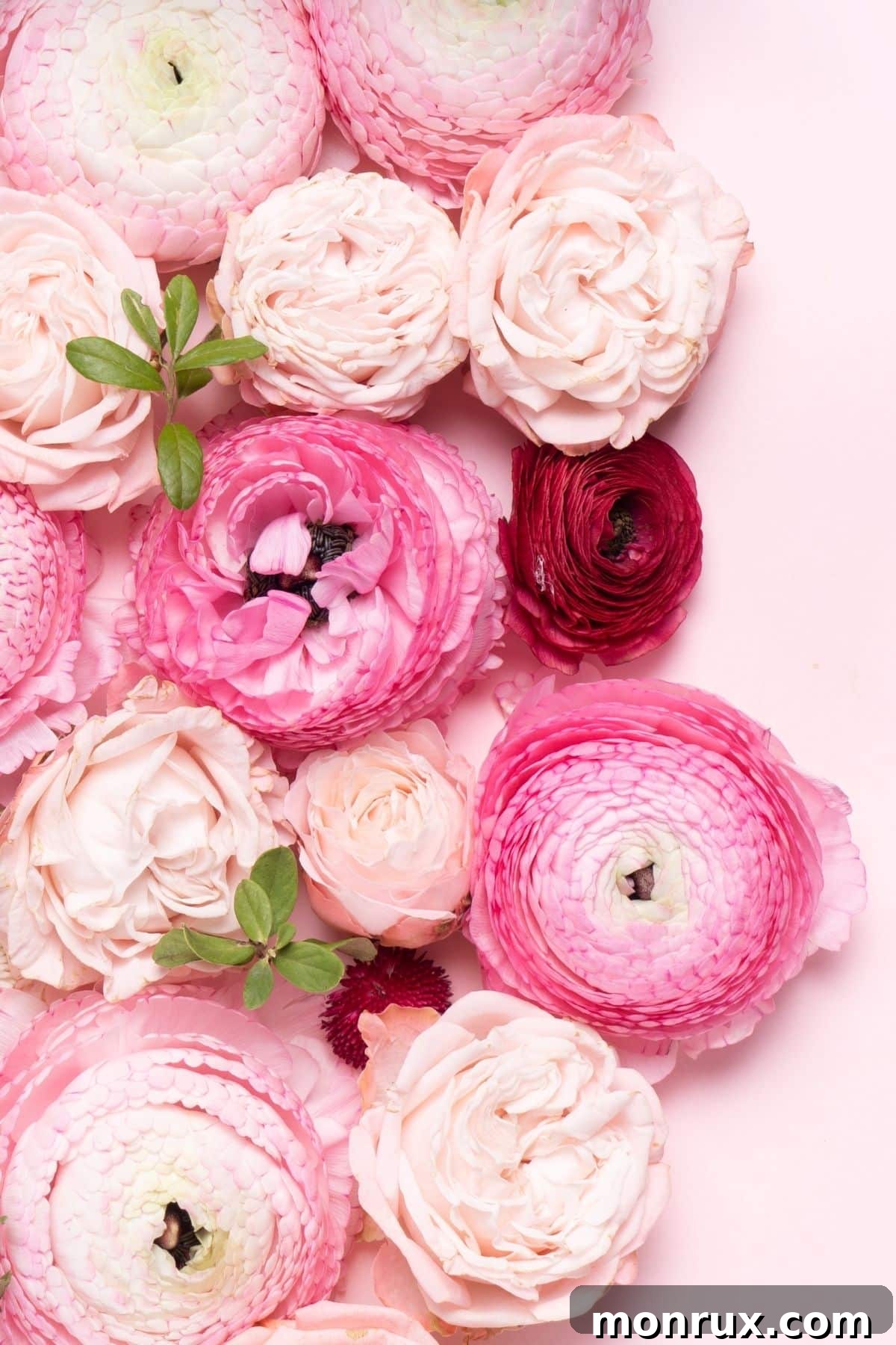 grouping of pink flowers on a tabletop.