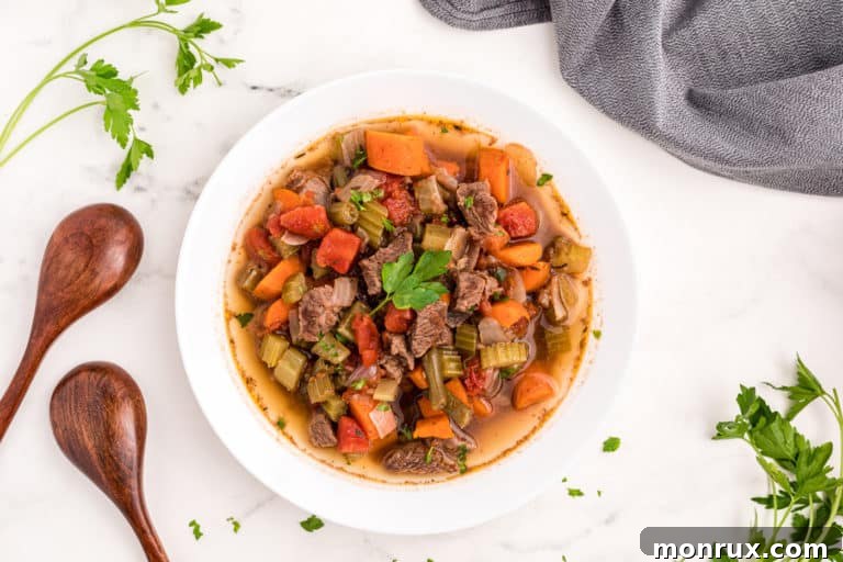 A beautifully presented bowl of beef and vegetable soup, garnished with fresh herbs, signifying a delicious, healthy meal.