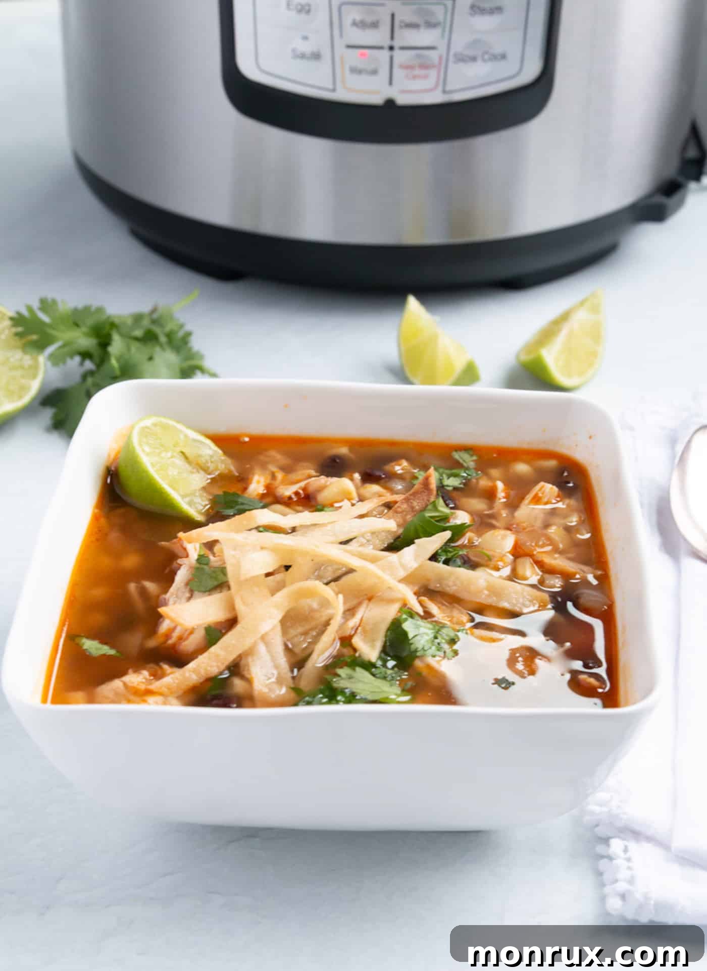 A pristine white bowl brimming with Instant Pot Chicken Tortilla Soup, garnished with vibrant green cilantro and golden tortilla strips, ready for a delicious meal.
