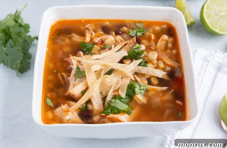 A close-up shot of Instant Pot Chicken Tortilla Soup in a bowl, topped with fresh cilantro and baked tortilla strips.