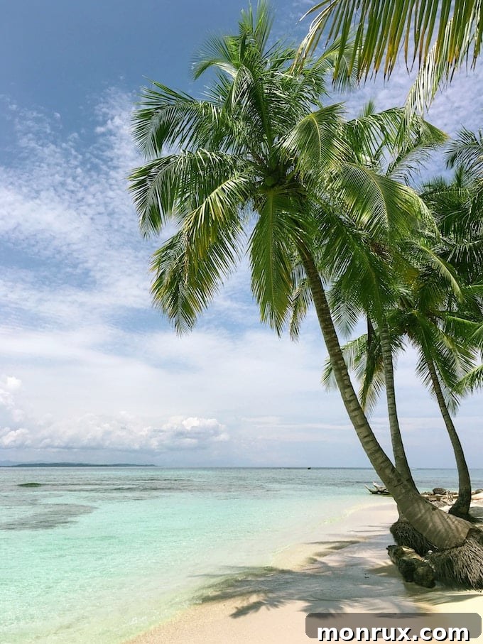 tropical vacation scene with clear water and palm trees.