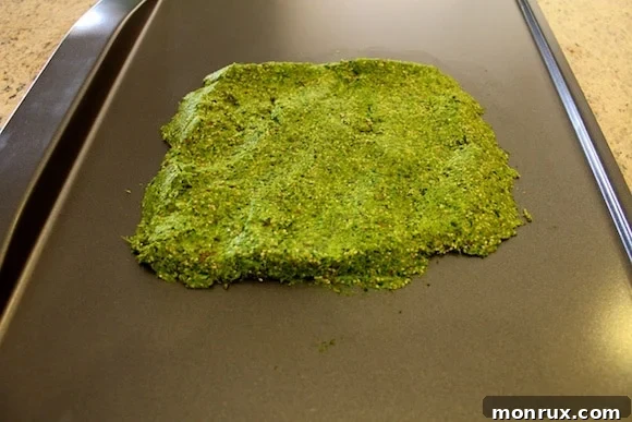 Evenly spread green juice pulp cracker dough on a dehydrator sheet, demonstrating the ideal thinness before scoring.